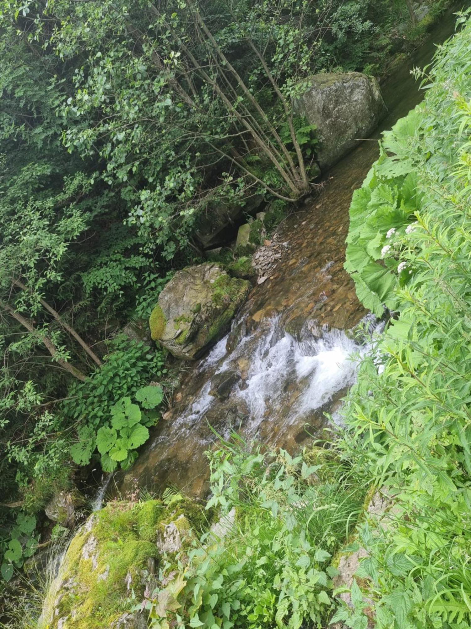 Roubenka Mlyn U Skaly Destne V Orlickych Horach Volne Terminy 5 Bytu מראה חיצוני תמונה