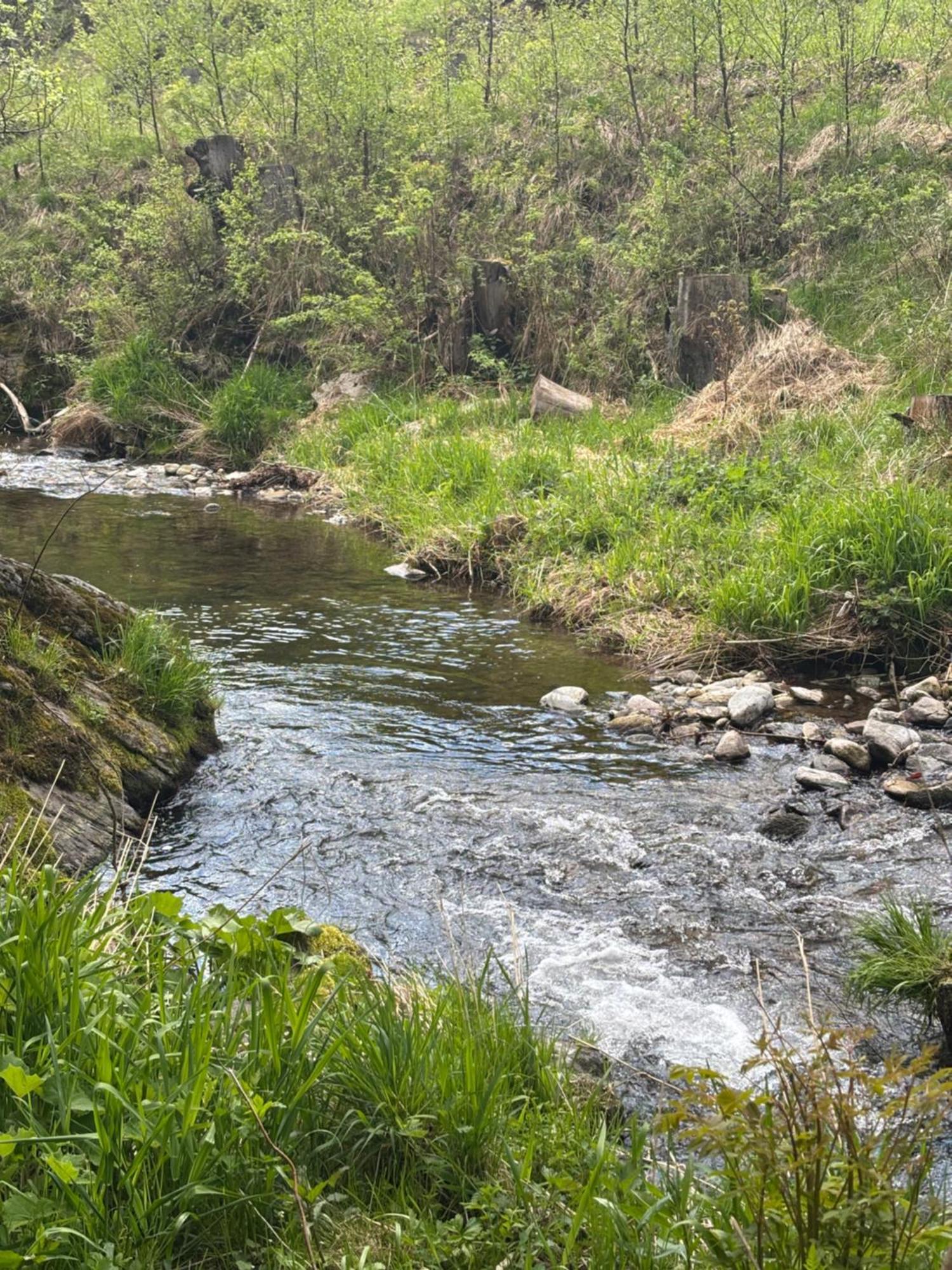 Roubenka Mlyn U Skaly Destne V Orlickych Horach Volne Terminy 5 Bytu מראה חיצוני תמונה